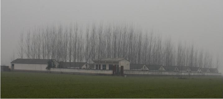 QQ截图20151228162304_副本.jpg